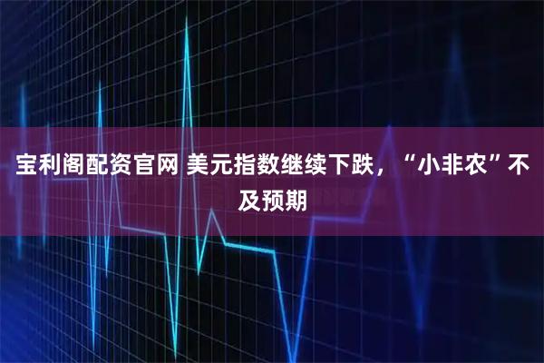 宝利阁配资官网 美元指数继续下跌，“小非农”不及预期