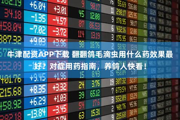 牛津配资APP下载 翻翻鸽毛滴虫用什么药效果最好？对症用药指南，养鸽人快看！