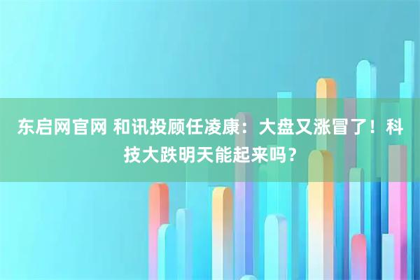 东启网官网 和讯投顾任凌康：大盘又涨冒了！科技大跌明天能起来吗？